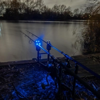 Avid Carp VTX+ Illuminated Snag Ears